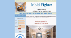 Desktop Screenshot of moldfighter.com