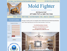 Tablet Screenshot of moldfighter.com